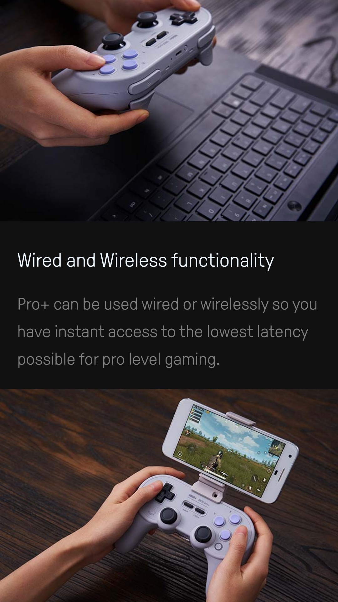 8Bitdo -  Sn30 Pro + -  Belchine 6