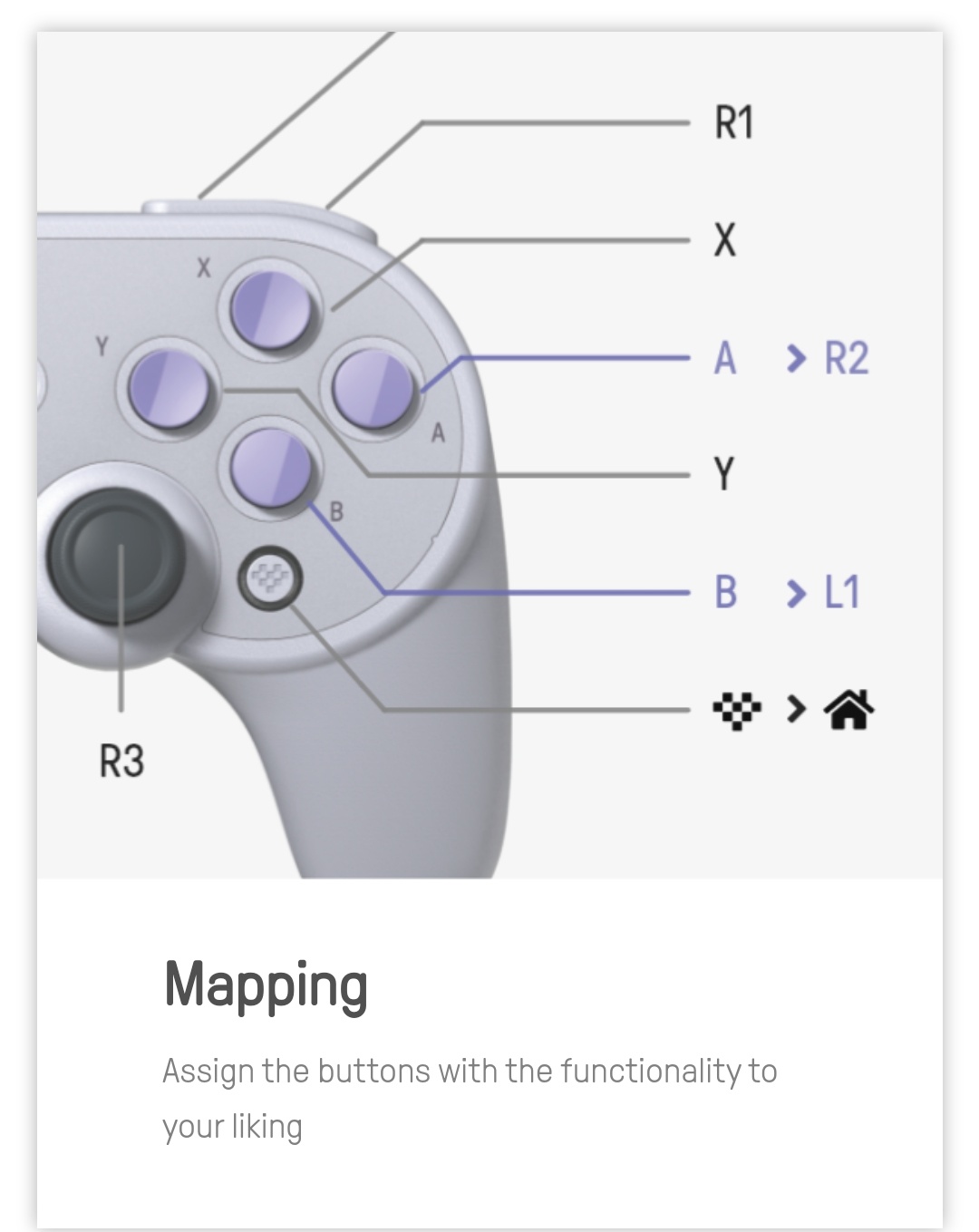 8Bitdo -  Sn30 Pro + -  Belchine 4