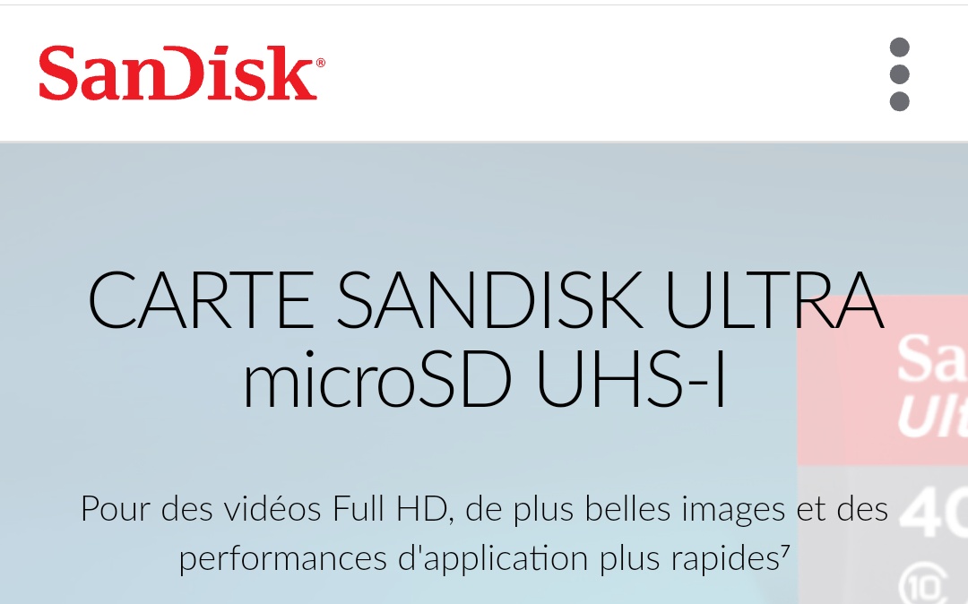 Sandisk Belchine 1