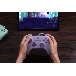 8Bitdo Ultimate C usb