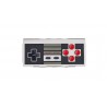 Nes30