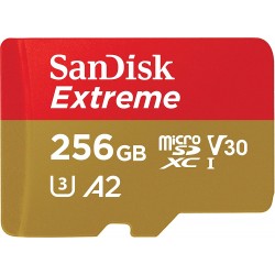 Sandisk Extrême A2